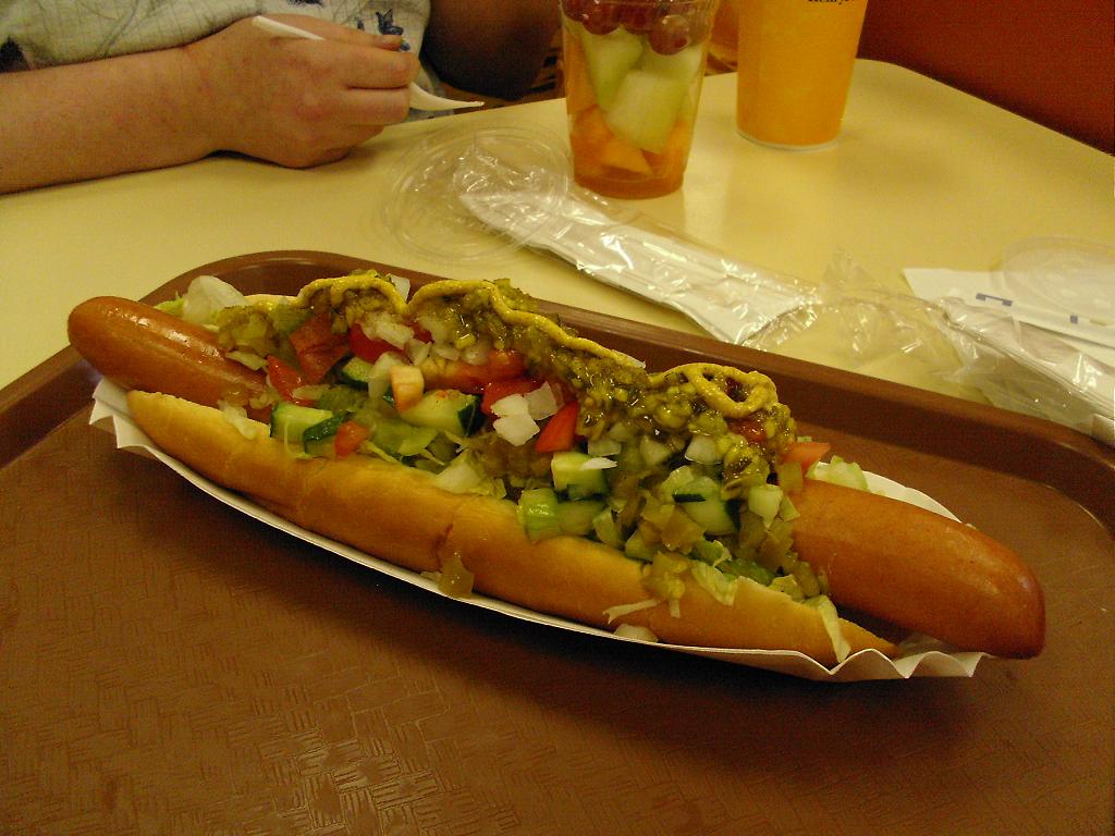 fordmuseum-chicagodog